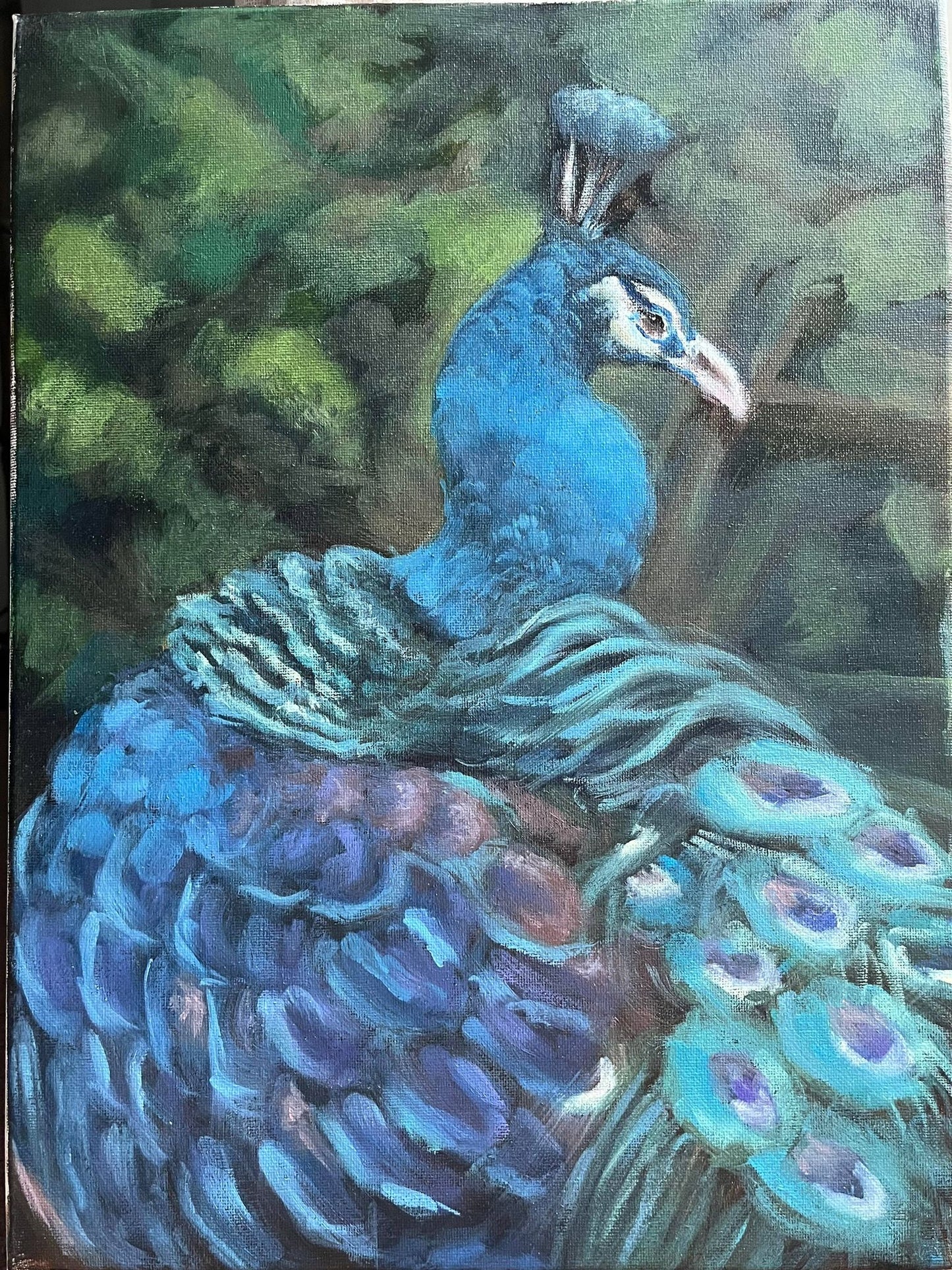 Peacock-Original Painting